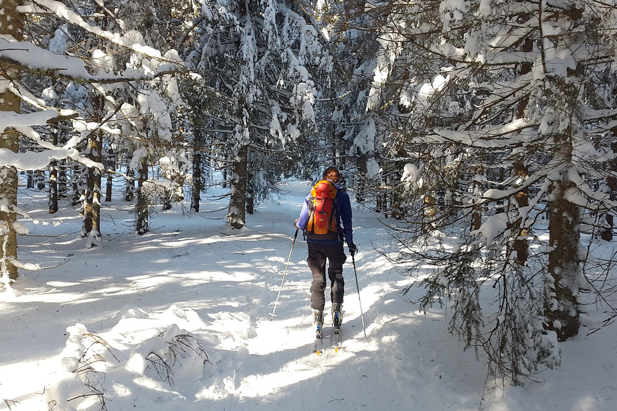 Experiences Backcountry Skiing