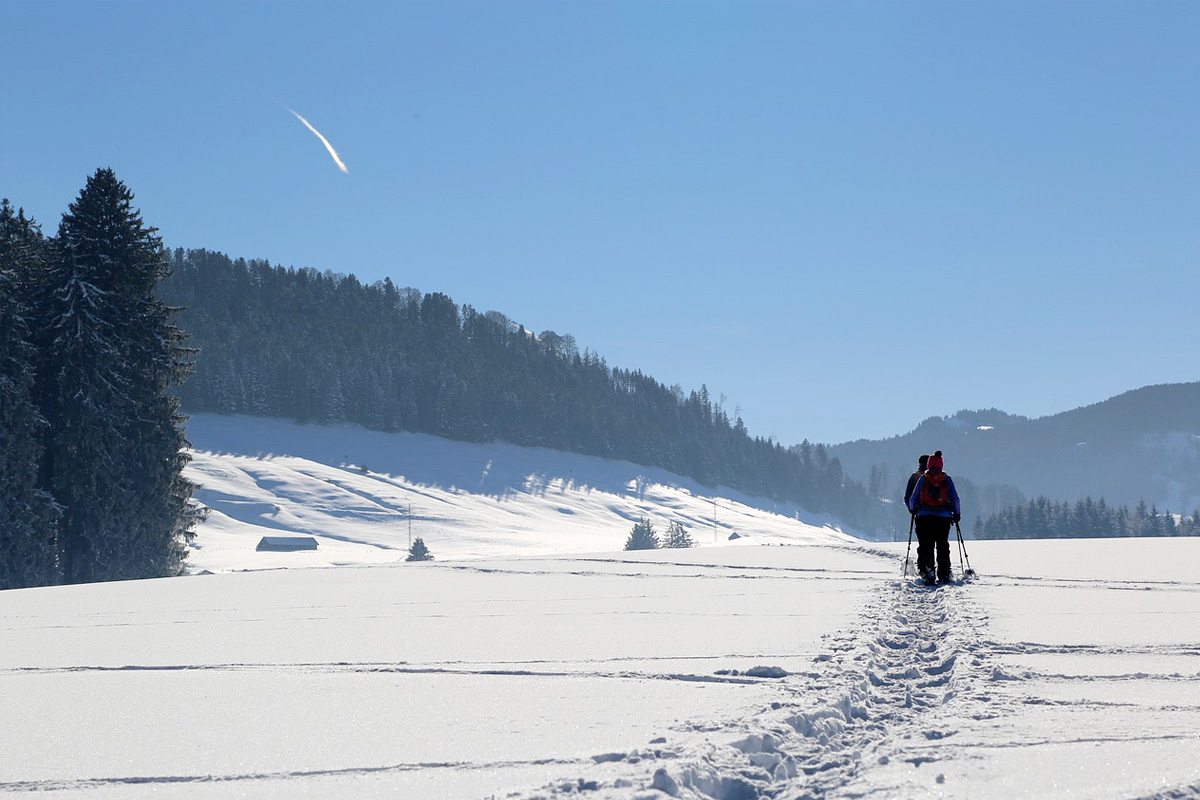 Experiences-Snowshoeing