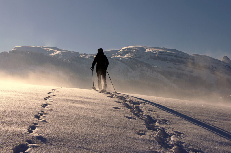 Experiences-Snowshoeing2-800x533