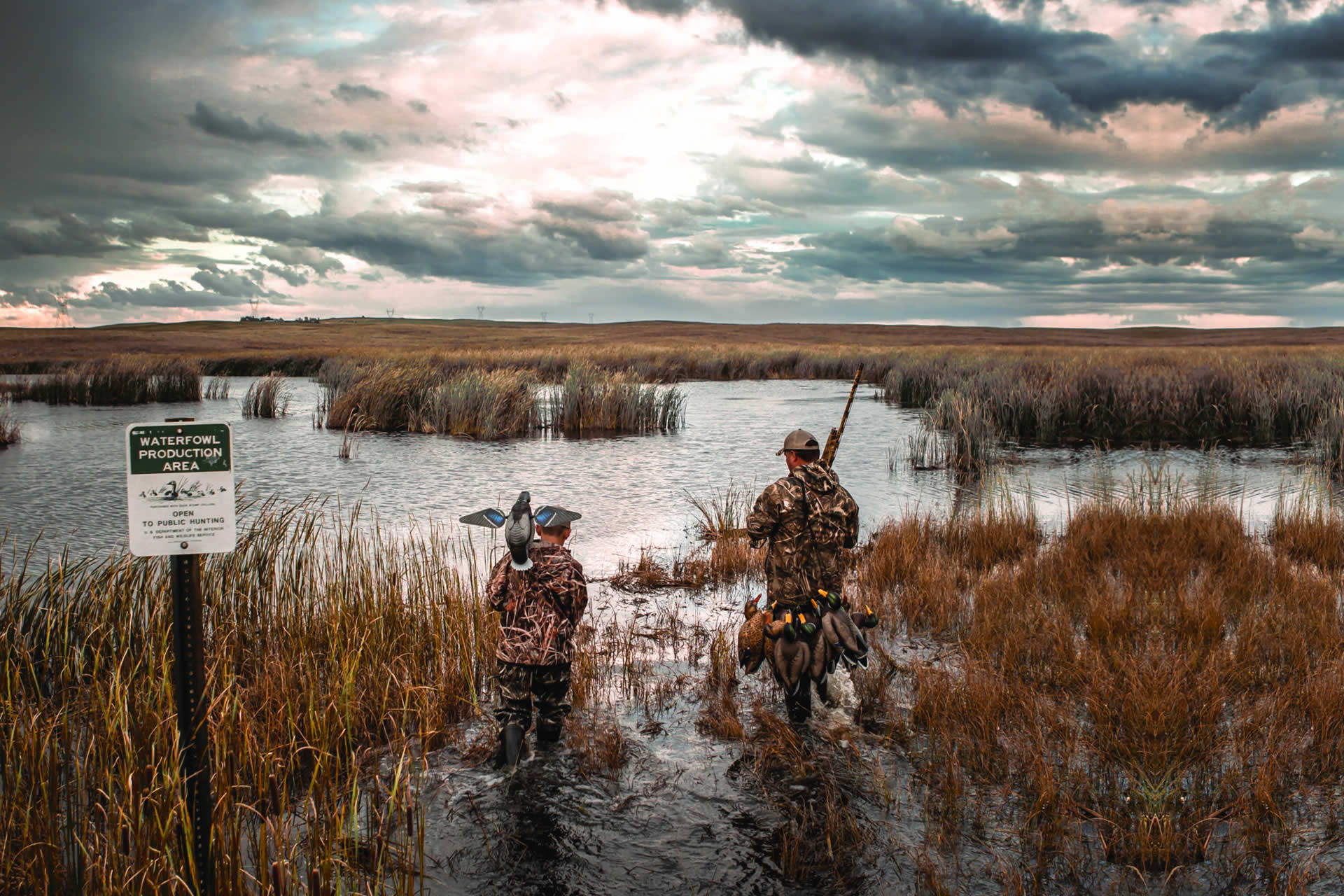 delta-waterfowl-gallery-18